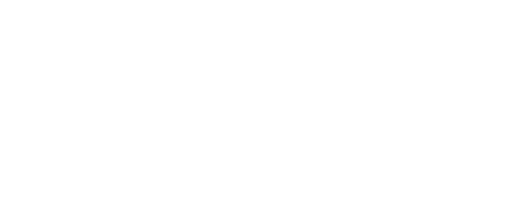 IBS Logo